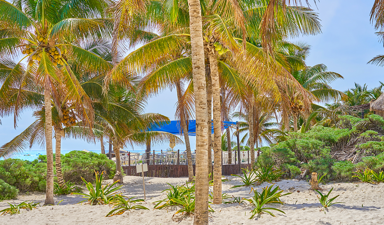 Costa Esmeralda, una perla en el Golfo de México